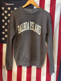 Balboa Island Mineral Graphic Sweatshirt