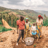 Pura Vida Charity Bracelet - One Tree Planted- ONT2