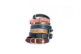 Euro Dog Elegant Collar