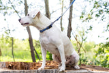 Euro Dog Waterproof Collar