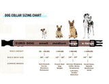 Euro Dog Waterproof Collar