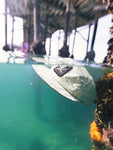 Haggard Pirate Skulled Surf Hats - Slate Green