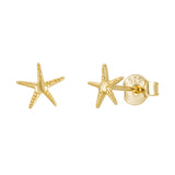 Gold starfish stud earrings