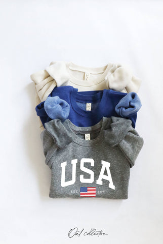 USA EST.1776 Toddler Graphic Sweatshirt