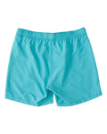 Billabong Big Boys All Day Layback Trunks