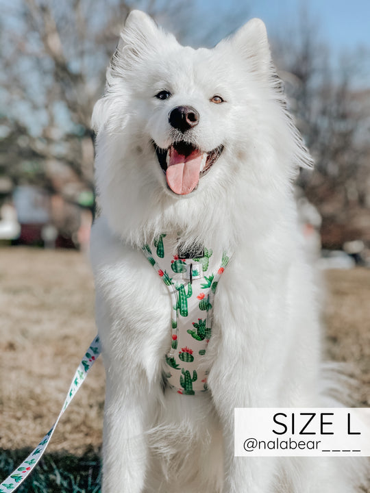 Sass dog harness sale