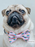 Sassy Woof Dog Bowtie - Paws of Love